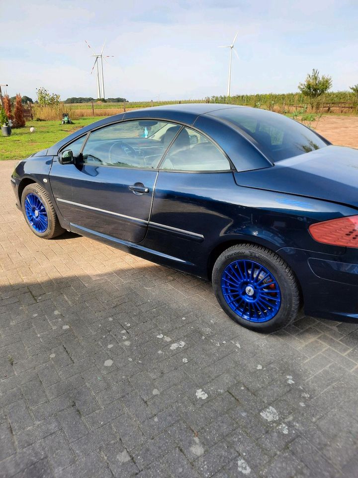Peugeot 307 cc Bj2005 in Schermbeck
